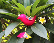 bird